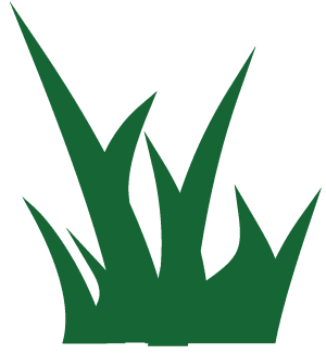 græs